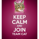 Illustration for article titled Team Dog Members First Kitty. Help!!